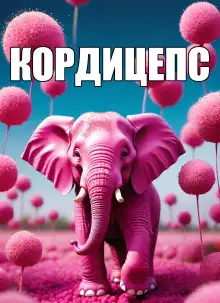 Обложка книги Кордицепс, или Больно все умные