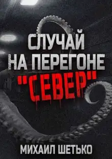 Обложка книги Случай на перегоне "Север"