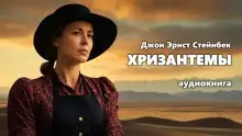 Обложка книги Хризантемы