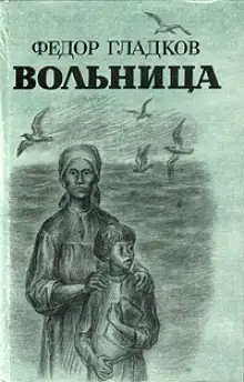 Обложка книги Вольница