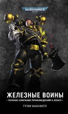 Обложка книги Железный шторм