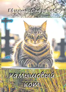 Обложка книги Камышовый кот