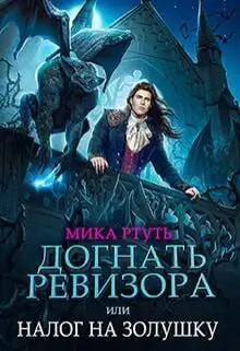 Обложка книги Догнать ревизора, или налог на Золушку