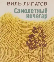 Обложка книги Самолётный кочегар