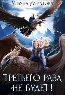 Обложка книги Третьего раза не будет!