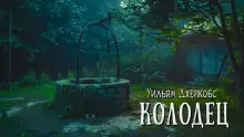 Обложка книги Колодец