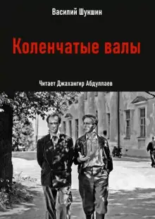 Обложка книги Коленчатые валы