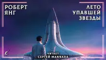 Обложка книги Лето упавшей звезды