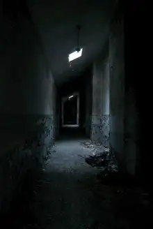 Обложка книги Дело №217. Завод