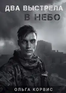 Обложка книги Два выстрела в небо
