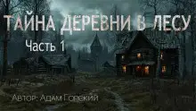Обложка книги Тайна деревни в лесу