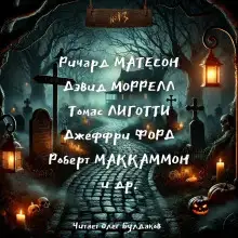 Обложка книги №13