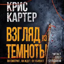 Обложка книги Взгляд из темноты