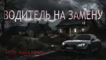 Обложка книги Водитель на замену