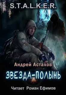 Обложка книги S.T.A.L.K.E.R. Звезда-Полынь