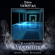Обложка книги Мадонна