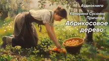 Обложка книги Абрикосовое дерево