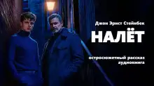Обложка книги Налёт