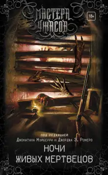 Обложка книги Одинокий стрелок