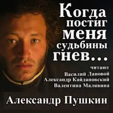 Обложка книги Когда постиг меня судьбины гнев...