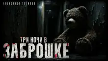 Обложка книги Три ночи в заброшке