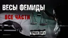 Обложка книги «Весы Фемиды» 2