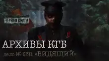 Обложка книги Архивы КГБ. Дело №23н "Видящий"