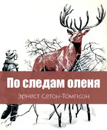 Обложка книги По следам оленя