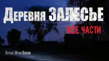 Обложка книги Деревня «Залесье»