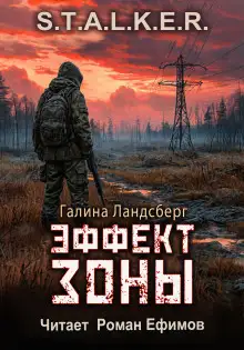 Обложка книги S.T.A.L.K.E.R. Эффект Зоны