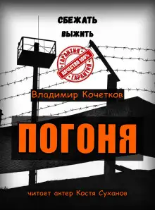 Обложка книги Погоня