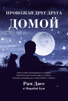 Обложка книги Провожая друг друга домой