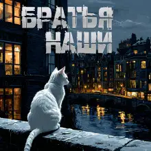 Обложка книги Братья наши