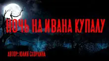 Обложка книги Ночь на Ивана Купалу