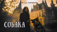 Обложка книги Собака