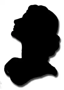 Обложка книги Cherchez la femme