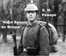 Обложка книги Карл Брегер во Флери