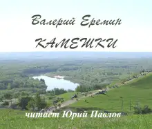 Обложка книги Камешки