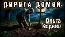 Обложка книги Дорога домой