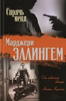 Обложка книги Спрячь меня