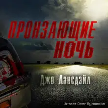 Обложка книги Пронзающие ночь
