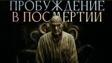 Обложка книги Пробуждение в посмертии
