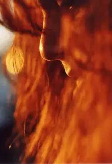 Обложка книги Девушка