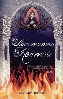 Обложка книги Похититель костей