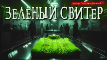 Обложка книги Зелёный свитер