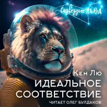 Обложка книги Идеальное соответствие