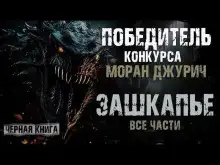 Обложка книги Зашкапье