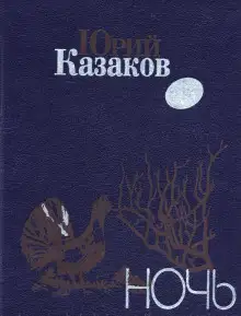 Обложка книги Ночь