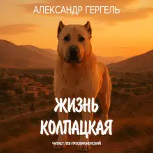 Обложка книги Жизнь колпацкая