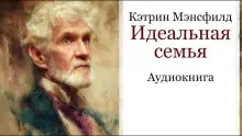 Обложка книги Идеальная семья